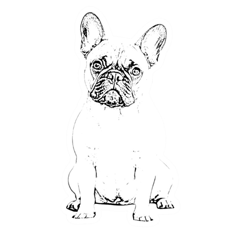 Louie sticker