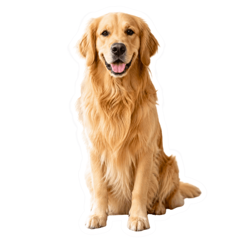 Goldie sticker