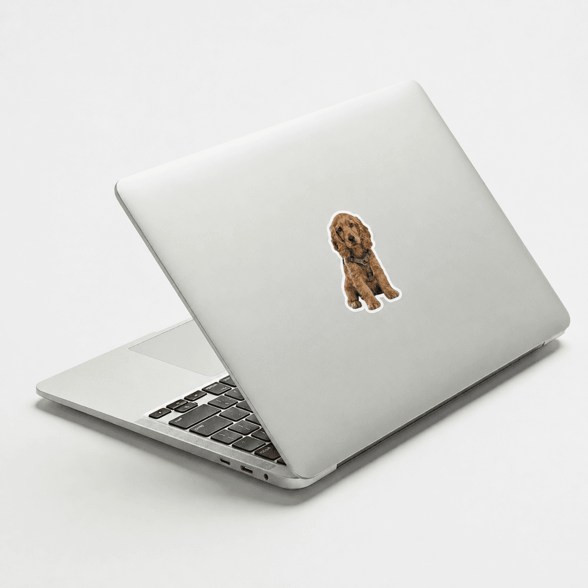 Laptop with Woofyful custom sticker