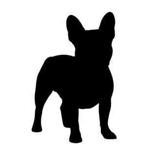 Shadow sticker style