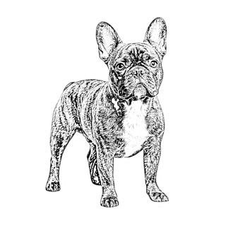 Sketch sticker style